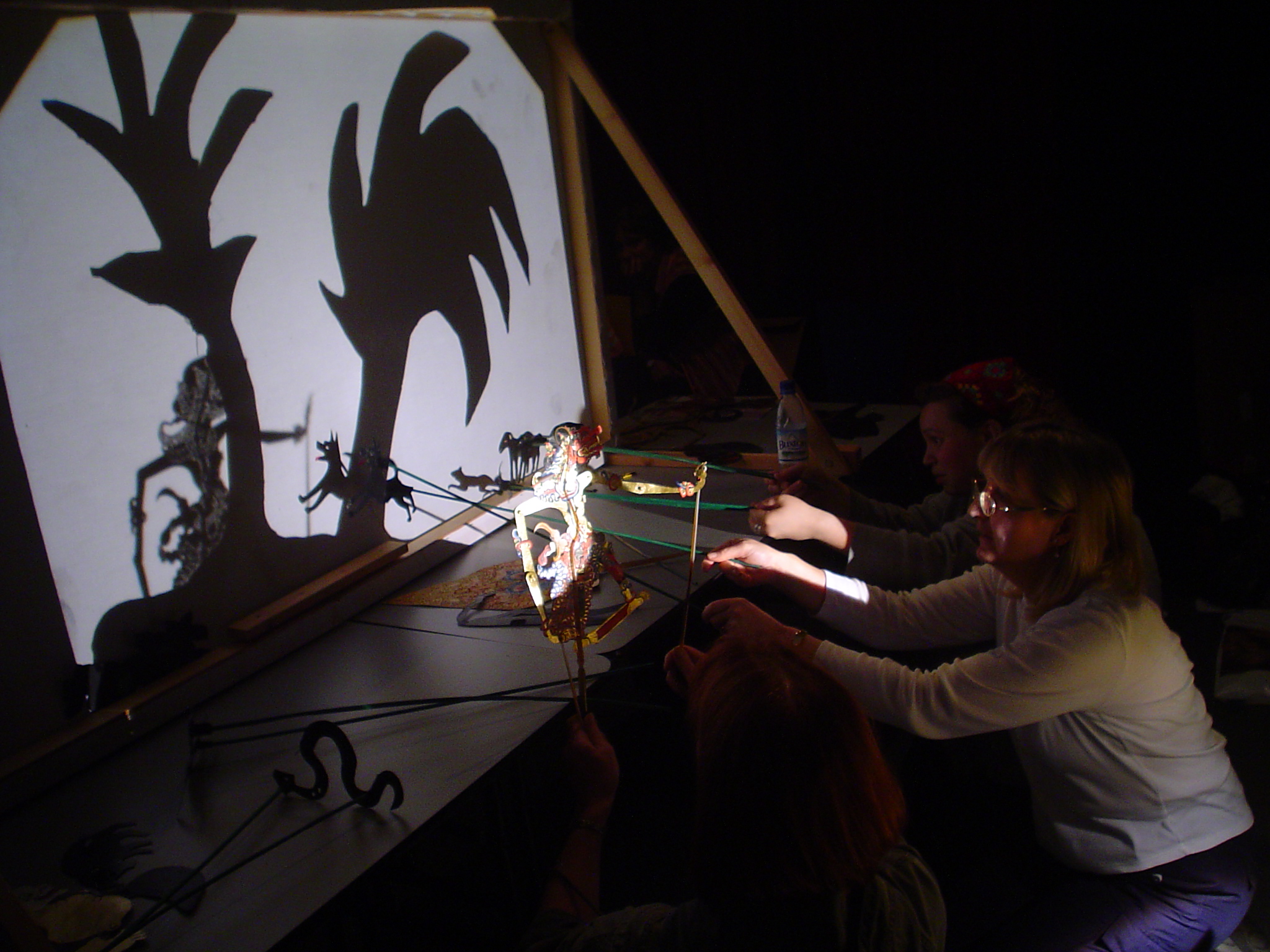 Shadow Puppet Making Indigo Moon Theatre
